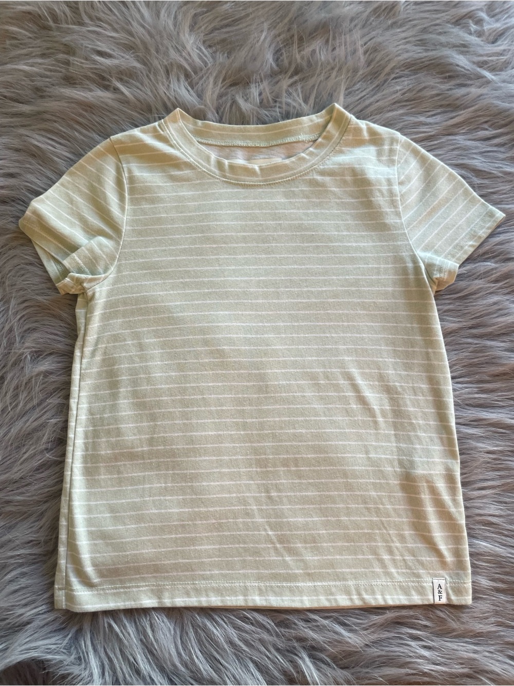 *SOLD*🐶Abercrombie & Fitch Kids Pale Green Stripe Short Sleeve Tee - Picture 1 of 7